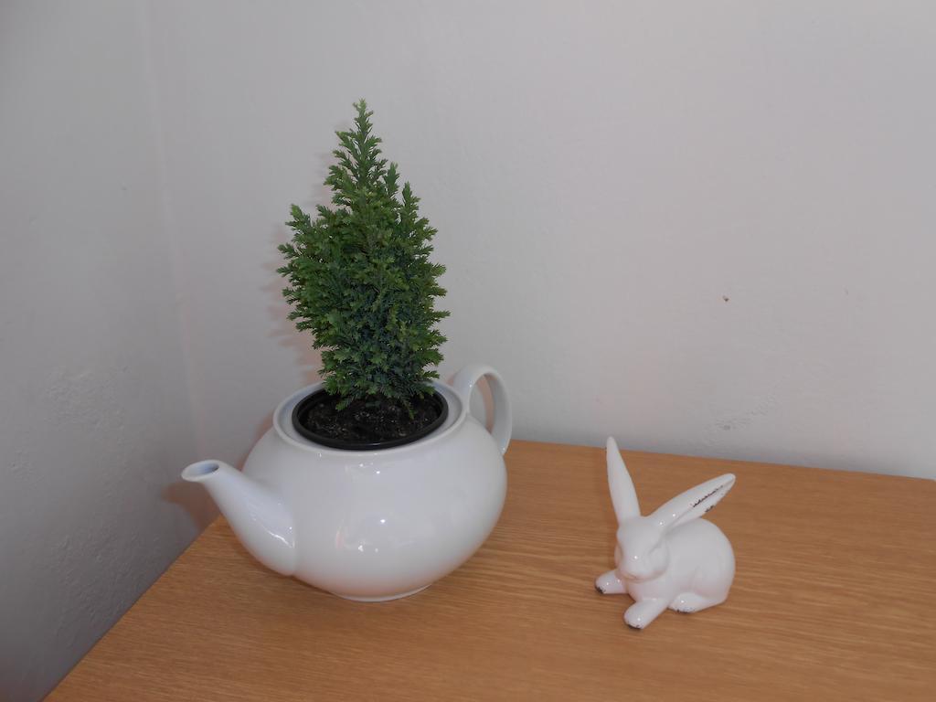 White Rabbit Hall Hotell Poděbrady Rum bild