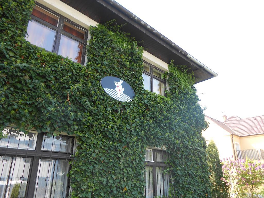 White Rabbit Hall Hotell Poděbrady Exteriör bild